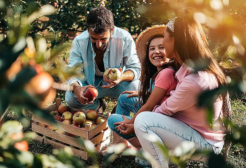 A family picking some apples - MAS Investment Funds - Homepage