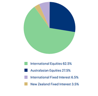 Aggressive Fund - Pie Chart