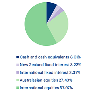 Aggressive Fund - Pie Chart 3