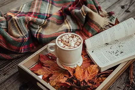 Autumn leaves with book and blanket listing.webp