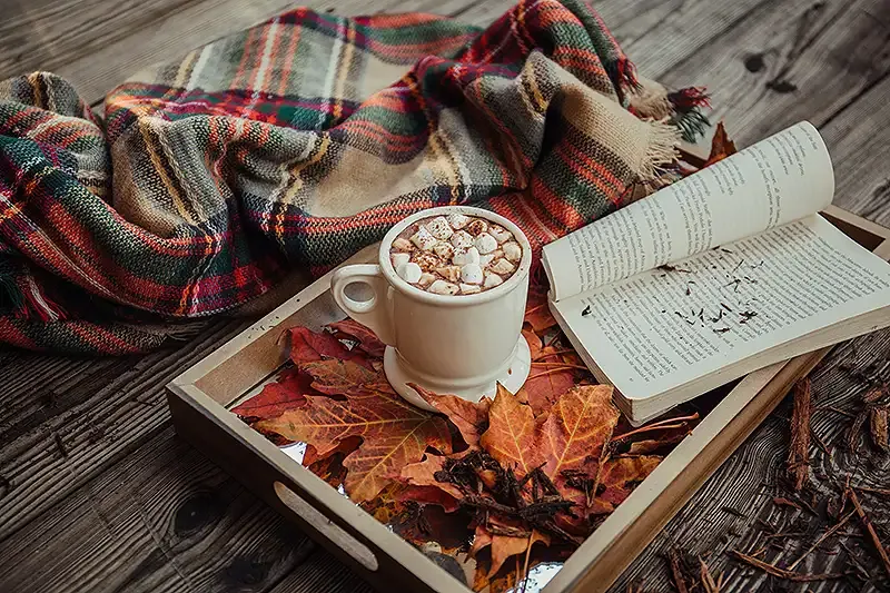 Autumn leaves with book and blanket