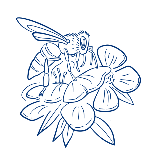 Bee on flowers illustration responsible investing