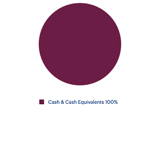 Cash Fund - Pie Chart