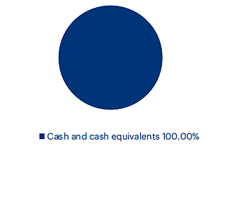 Cash Fund - Pie Chart 2