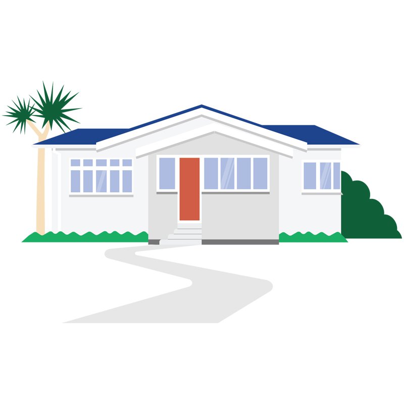 Illustration of a New Zealand house with a cabbage tree