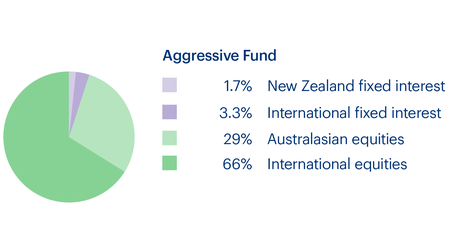 KiwiSaver Fund Graphs - Aggressive Fund