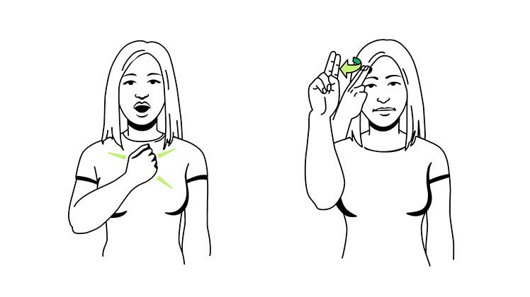 Learning Sign Language Basics MAS