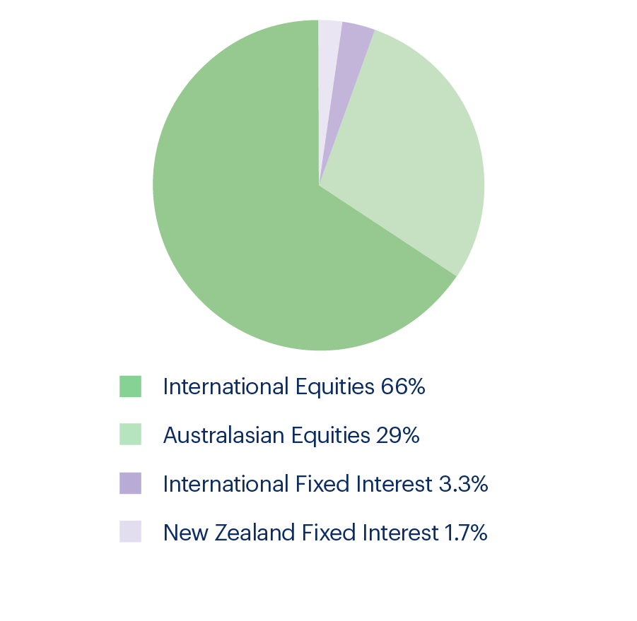 Pie Chart Aggressive Fund