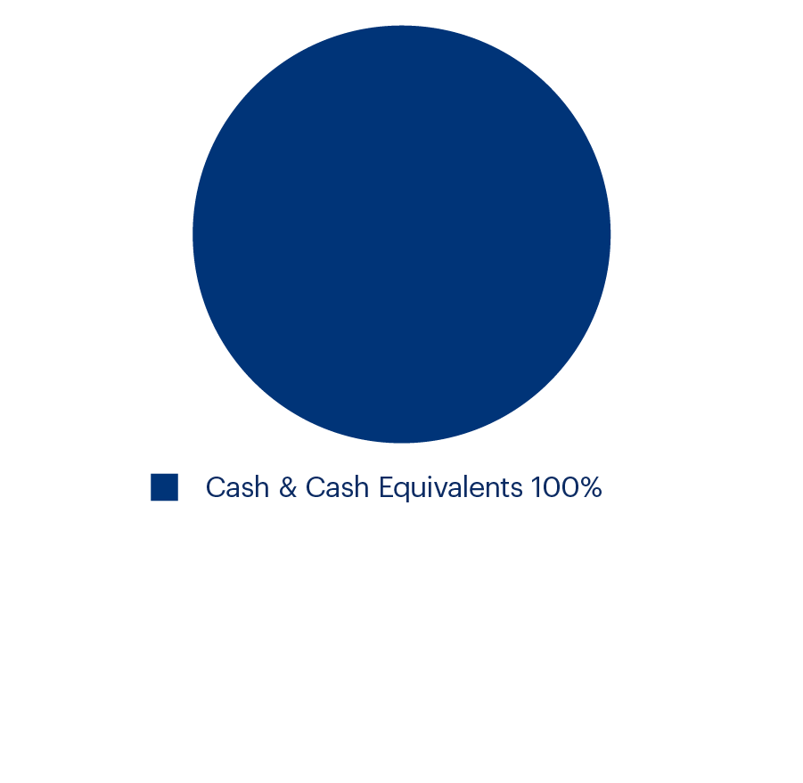 Pie Chart Cash Fund