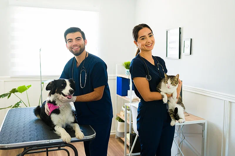 Two vets holding animals at a clinic