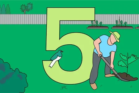 Illustration of number 5 and a person planting a tree